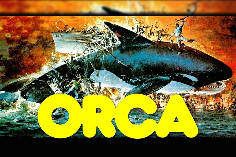 Orca